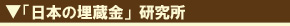 「日本の埋蔵金」研究所